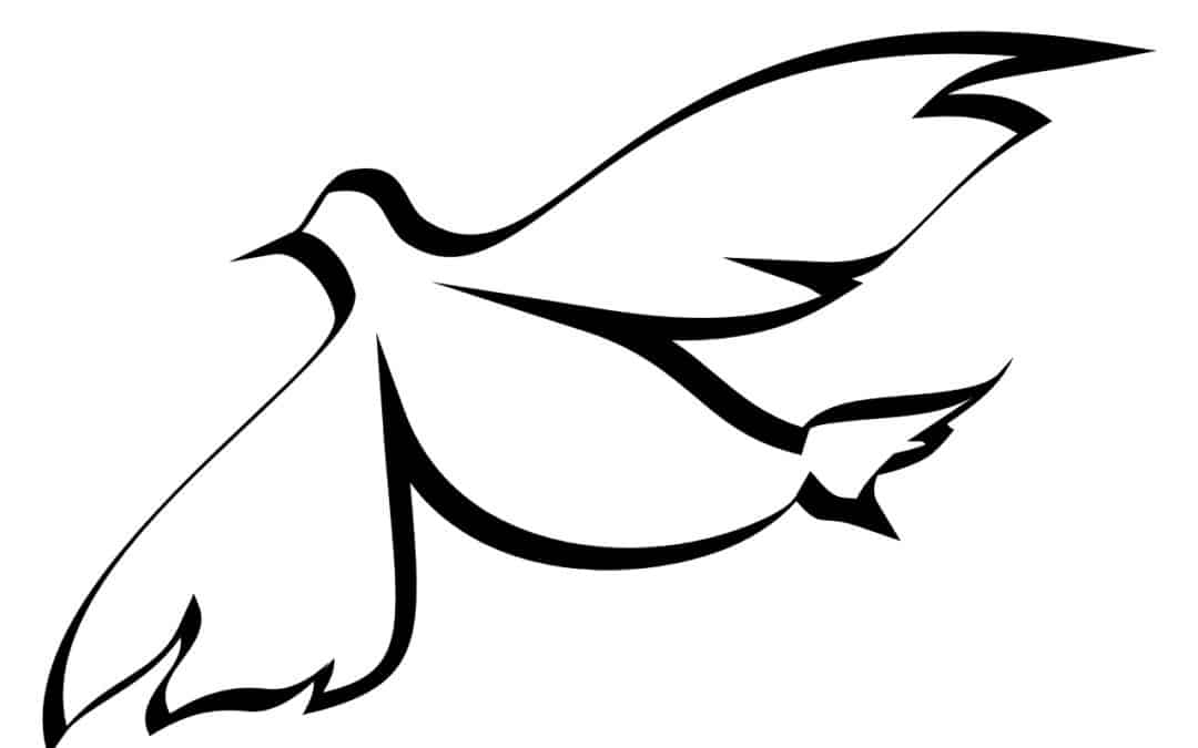 dove, spirit, holy